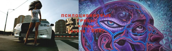кокаин Белокуриха