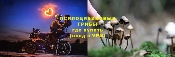 кокаин Белокуриха
