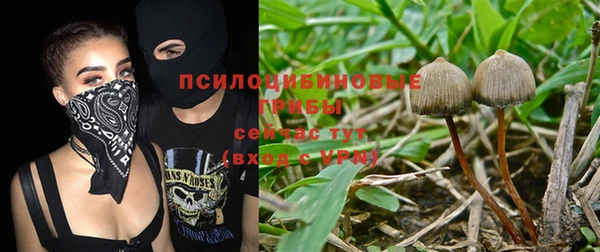 дживик Белоозёрский
