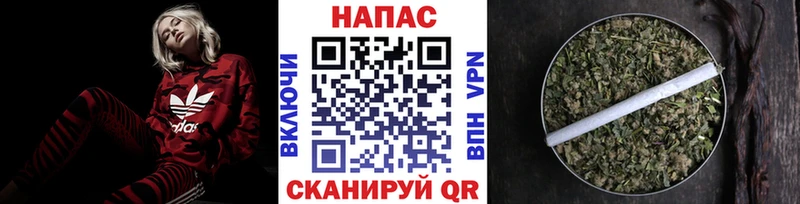 кракен ссылки  Павловск  Каннабис семена  как найти закладки 